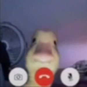 Meet your Posher, Jayjay